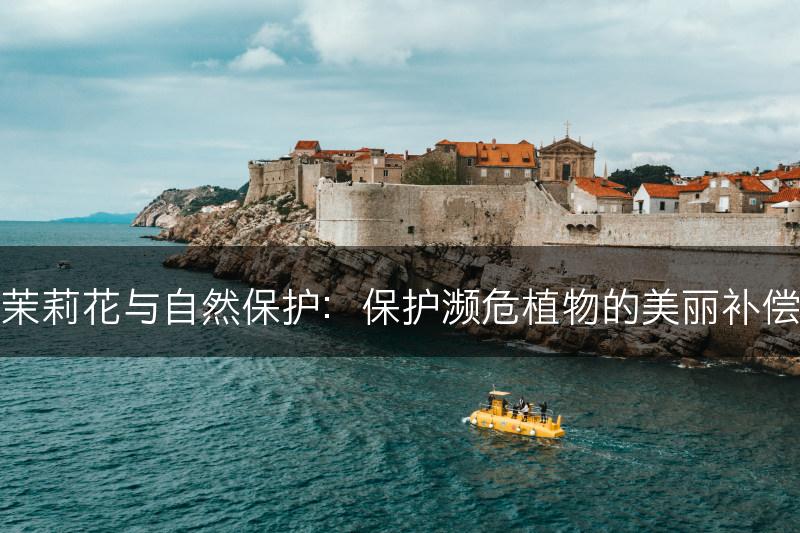 茉莉花与自然保护:保护濒危植物的美丽补偿(图1) 茉莉花与自然保护:保护濒危植物的美丽补偿(图1)