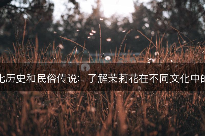 茉莉花的文化历史和民俗传说：了解茉莉花在不同文化中的历史和传说(图1)