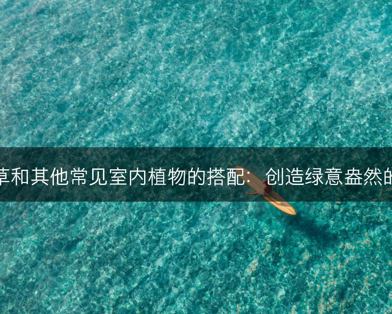 铜钱草和其他常见室内植物的搭配：创造绿意盎然的景观(图1)