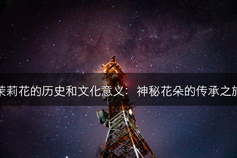 茉莉花的历史和文化意义：神秘花朵的传承之旅(图1)
