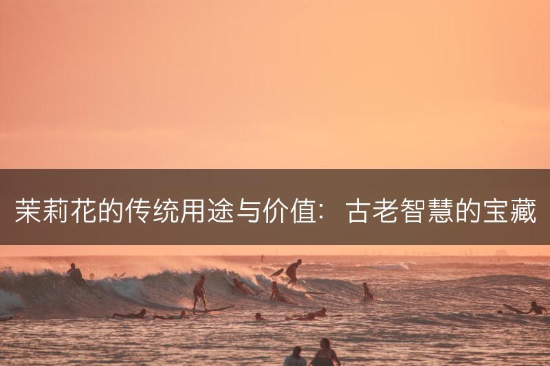 茉莉花的传统用途与价值：古老智慧的宝藏(图1)