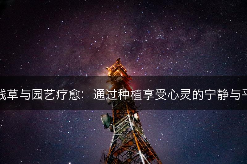铜钱草与园艺疗愈：通过种植享受心灵的宁静与平静(图1)