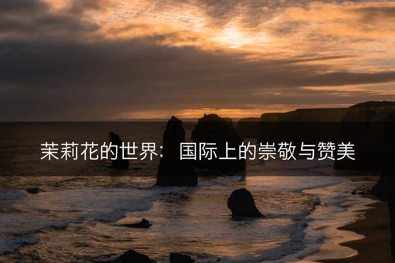 茉莉花的世界：国际上的崇敬与赞美(图1)