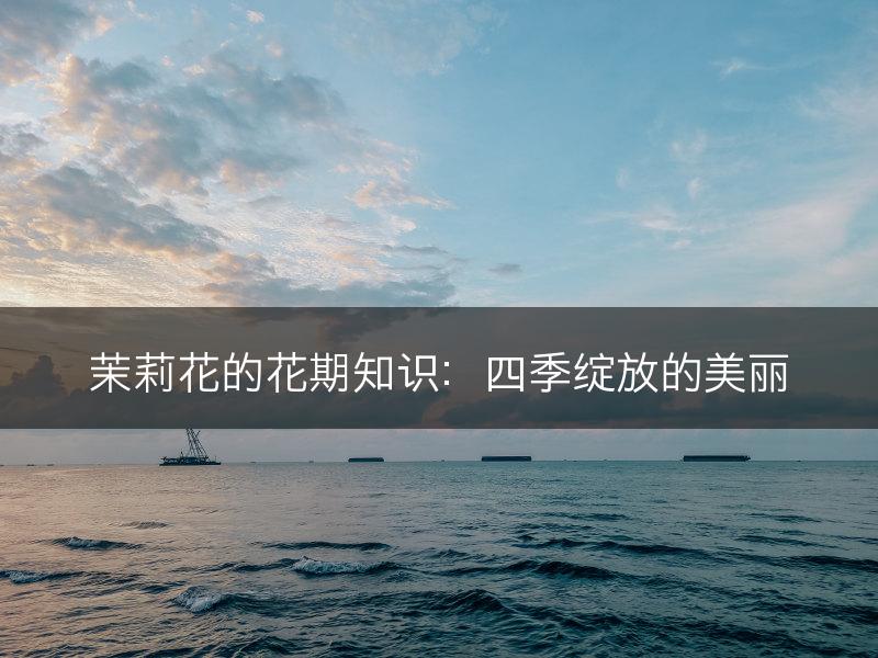 茉莉花的花期知识：四季绽放的美丽(图1)