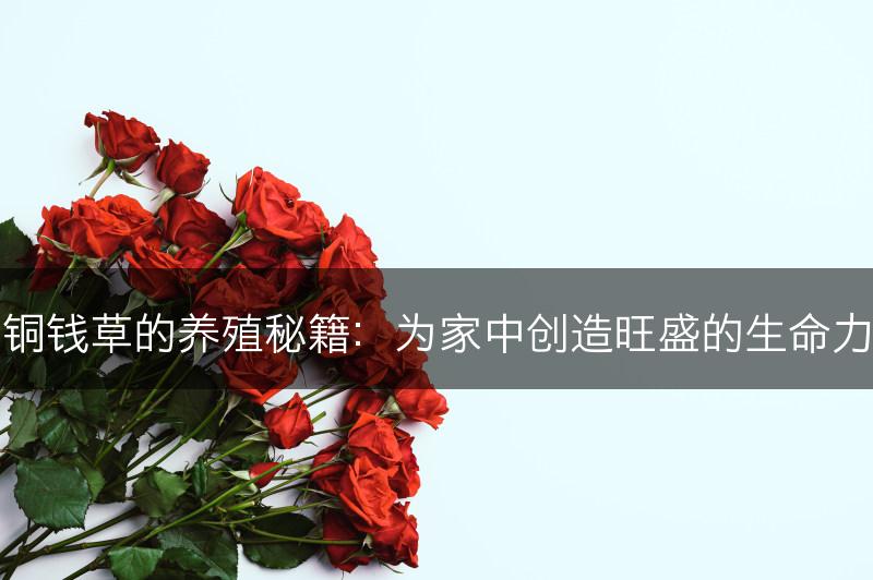 铜钱草的养殖秘籍：为家中创造旺盛的生命力(图1)