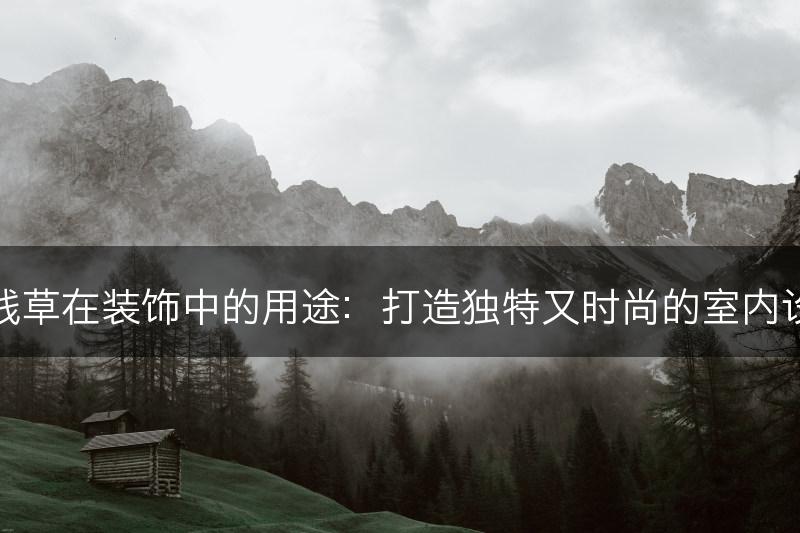 铜钱草在装饰中的用途：打造独特又时尚的室内设计(图1)