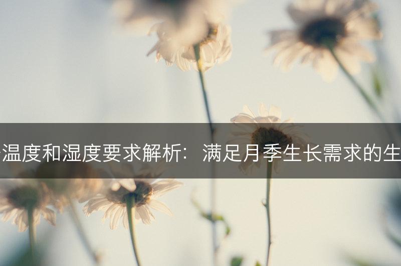月季的栽培温度和湿度要求解析：满足月季生长需求的生态环境要求(图1)