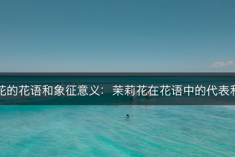 茉莉花的花语和象征意义：茉莉花在花语中的代表和意义(图1)