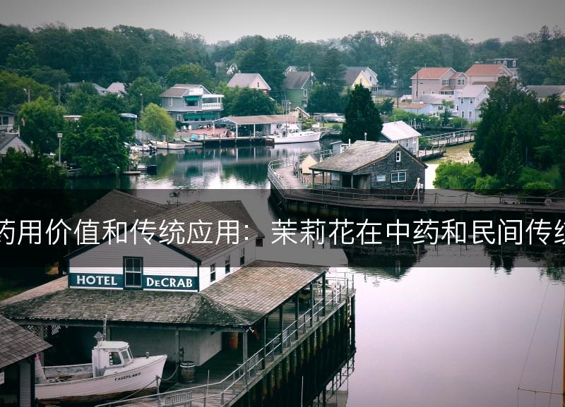 茉莉花的药用价值和传统应用：茉莉花在中药和民间传统中的应用(图1)