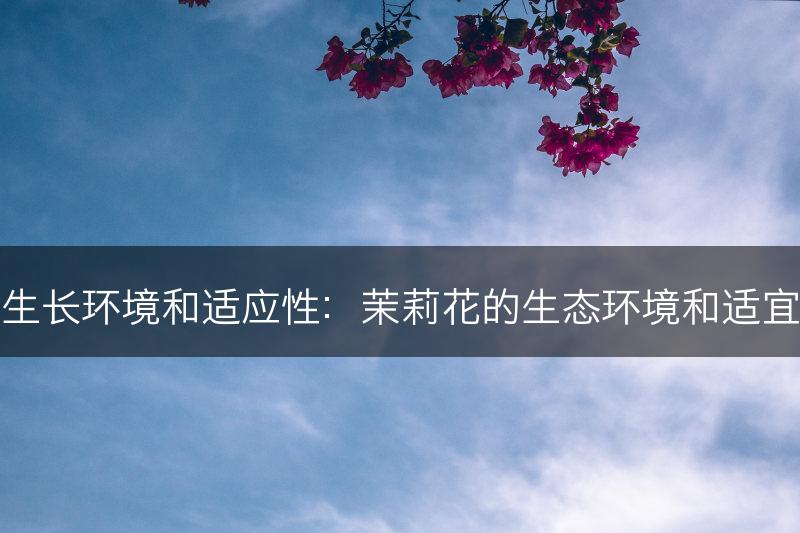 茉莉花的生长环境和适应性：茉莉花的生态环境和适宜种植区域(图1)