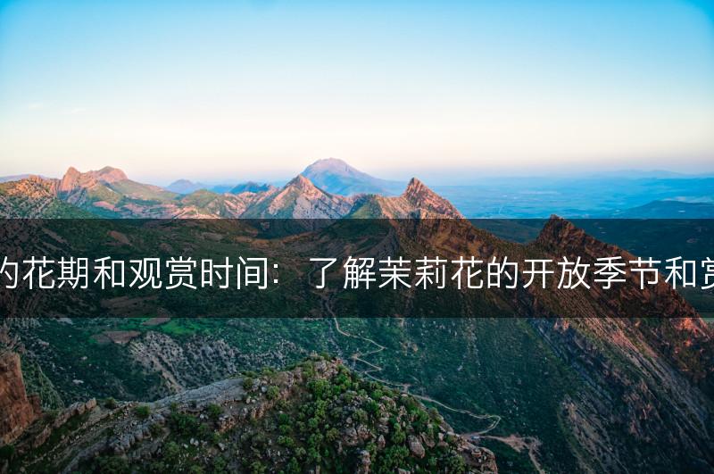 茉莉花的花期和观赏时间：了解茉莉花的开放季节和赏花时间(图1)