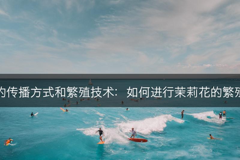 茉莉花的传播方式和繁殖技术：如何进行茉莉花的繁殖和繁衍(图1)