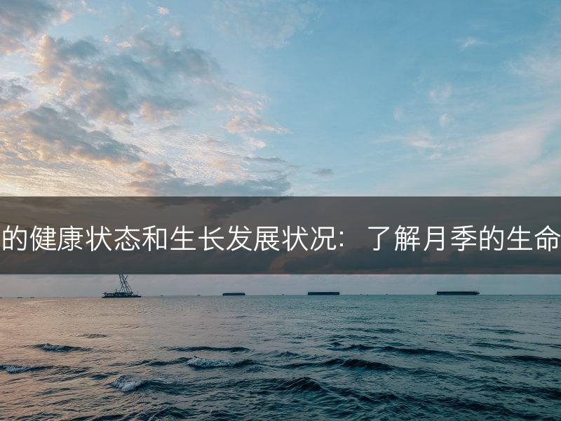 如何评估月季的健康状态和生长发展状况：了解月季的生命力和未来趋势(图1)