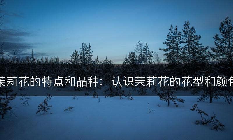 茉莉花的特点和品种：认识茉莉花的花型和颜色(图1)