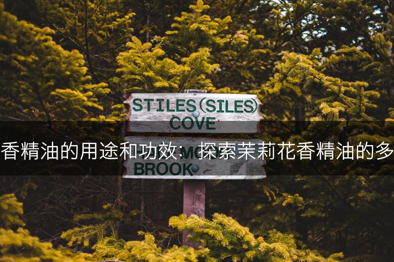 茉莉花香精油的用途和功效：探索茉莉花香精油的多种用途(图1)
