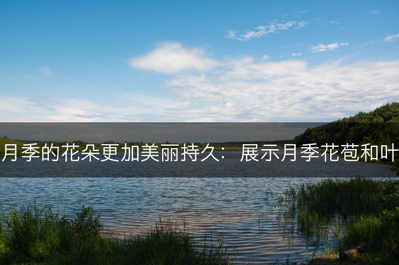 如何保证月季的花朵更加美丽持久：展示月季花苞和叶片的绝技(图1)