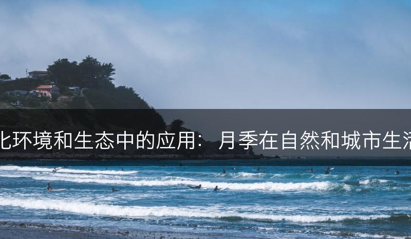 探索月季在多样化环境和生态中的应用：月季在自然和城市生活中的角色和功用(图1)