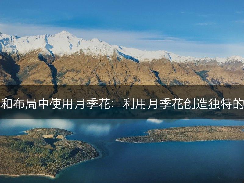 如何在园艺和布局中使用月季花：利用月季花创造独特的环境和氛围(图1)