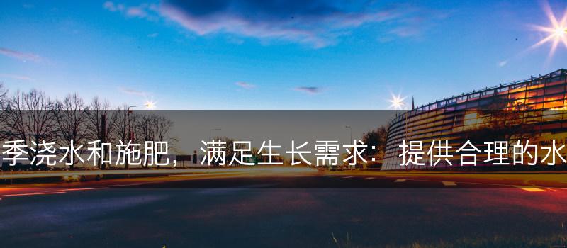 如何为月季浇水和施肥，满足生长需求：提供合理的水分和养分(图1)