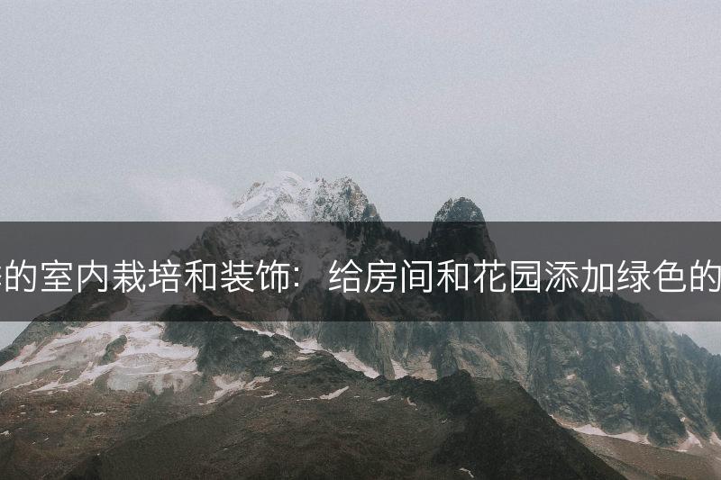 月季的室内栽培和装饰：给房间和花园添加绿色的美丽(图1)