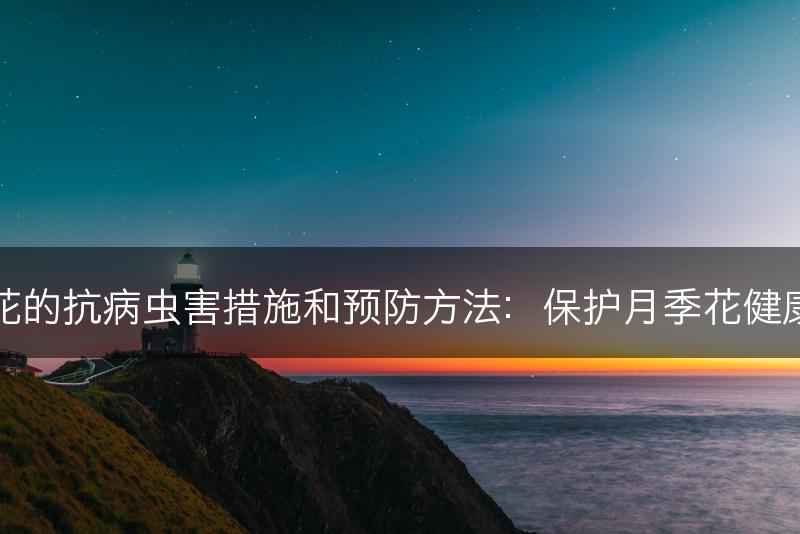 月季花的抗病虫害措施和预防方法：保护月季花健康成长(图1)