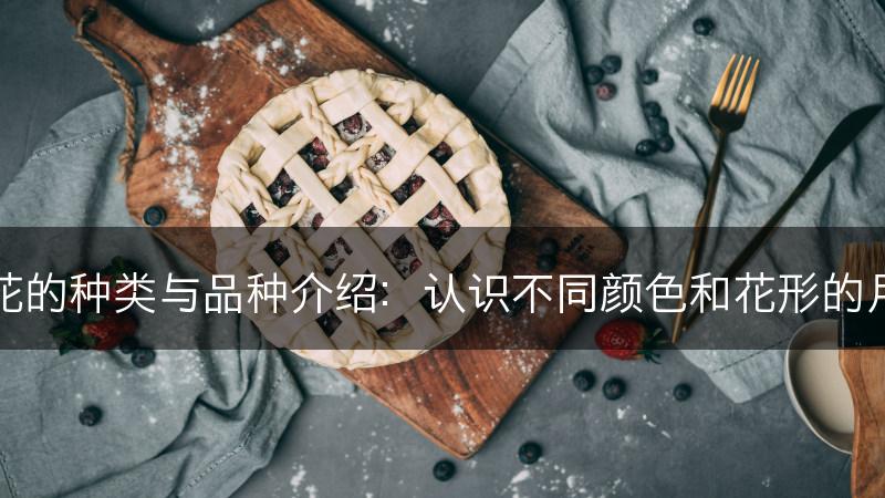 月季花的种类与品种介绍：认识不同颜色和花形的月季花(图1)