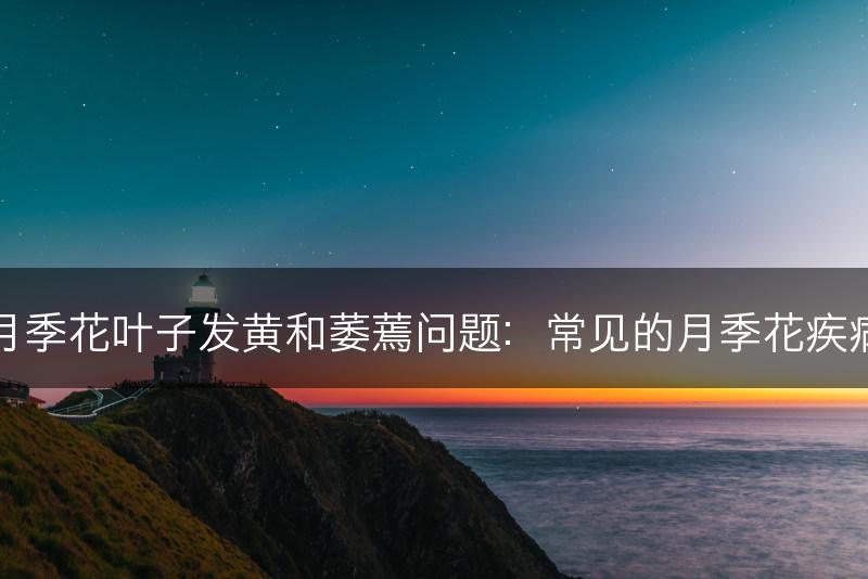 如何解决月季花叶子发黄和萎蔫问题：常见的月季花疾病救治方法(图1)
