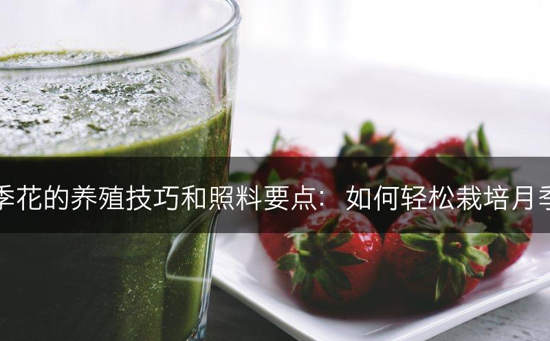 月季花的养殖技巧和照料要点：如何轻松栽培月季花(图1)