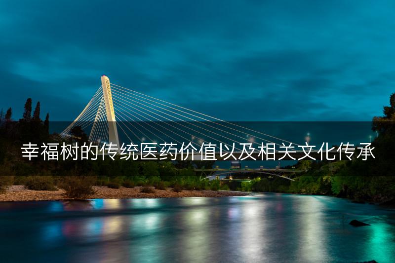 幸福树的传统医药价值以及相关文化传承(图1)