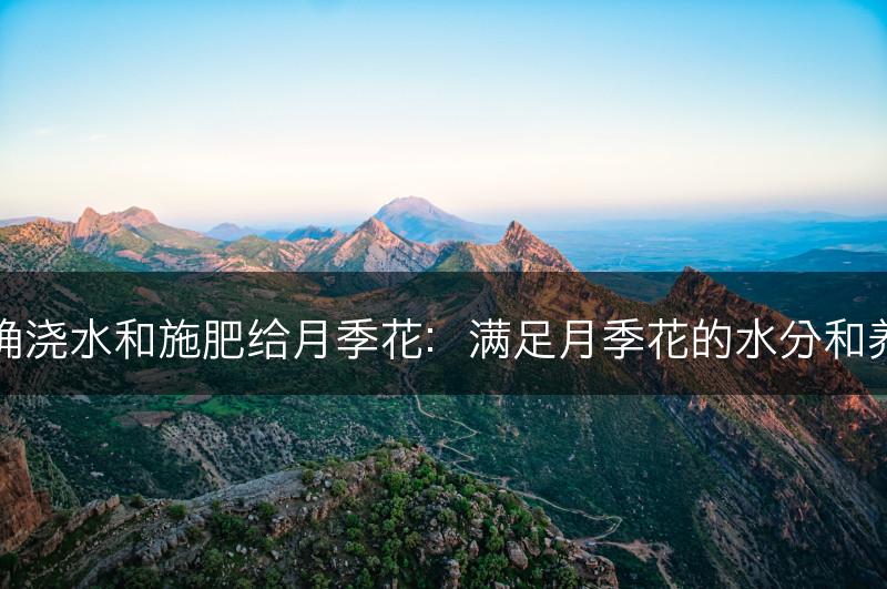 如何正确浇水和施肥给月季花：满足月季花的水分和养分需求(图1)