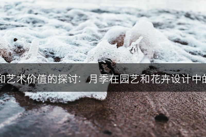 月季的观赏和艺术价值的探讨：月季在园艺和花卉设计中的表现和赏析(图1)
