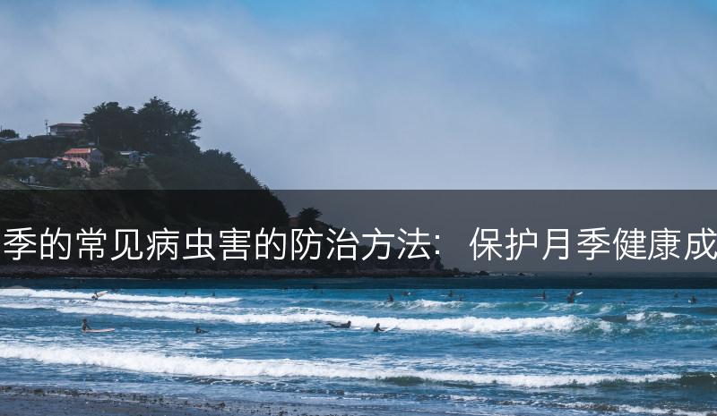 月季的常见病虫害的防治方法：保护月季健康成长(图1)