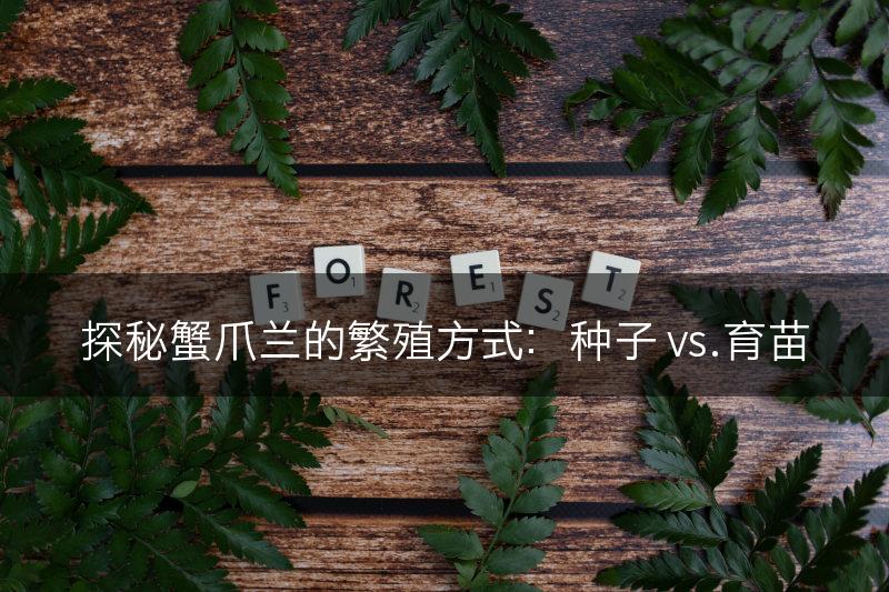 探秘蟹爪兰的繁殖方式：种子 vs.育苗