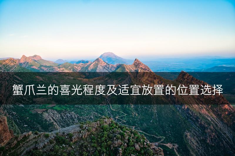 蟹爪兰的喜光程度及适宜放置的位置选择(图1)