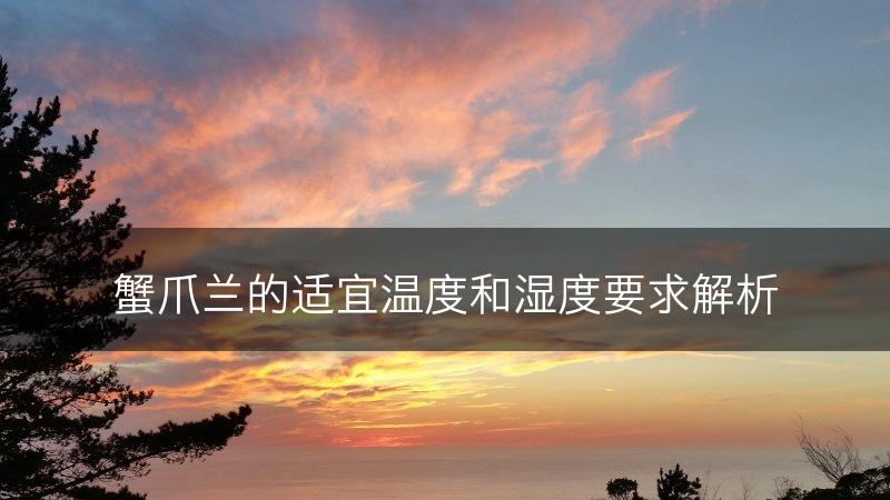 蟹爪兰的适宜温度和湿度要求解析(图1)