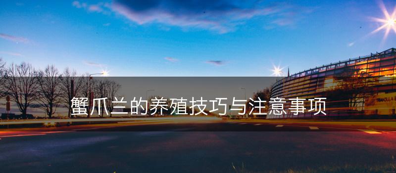 蟹爪兰的养殖技巧与注意事项(图1)