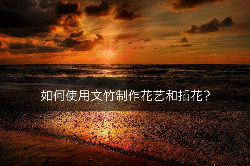 如何使用文竹制作花艺和插花?(图1) 如何使用文竹制作花艺和插花?(图1)