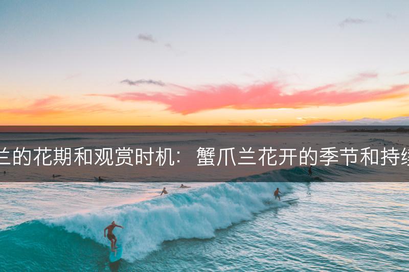 蟹爪兰的花期和观赏时机：蟹爪兰花开的季节和持续时间(图1)
