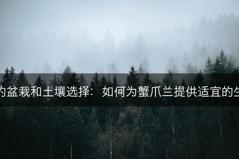 蟹爪兰的盆栽和土壤选择：如何为蟹爪兰提供适宜的生长环境(图1)