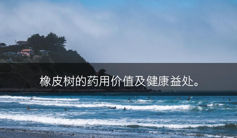橡皮树的药用价值及健康益处。(图1)