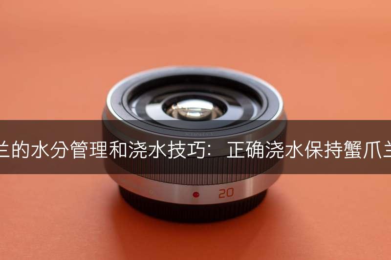蟹爪兰的水分管理和浇水技巧：正确浇水保持蟹爪兰健康(图1)