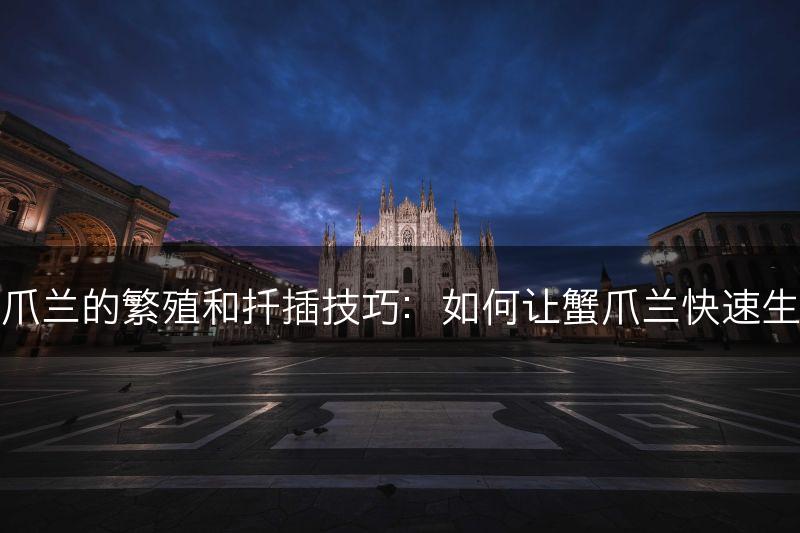 蟹爪兰的繁殖和扦插技巧：如何让蟹爪兰快速生长(图1)