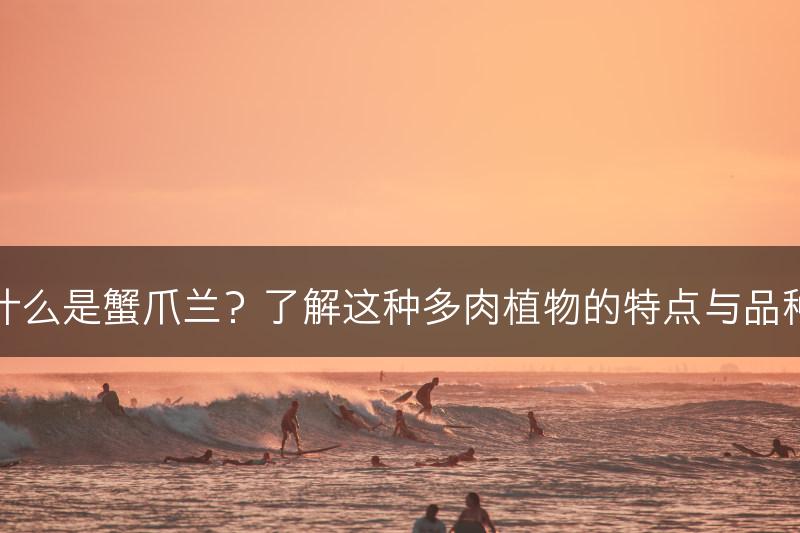 什么是蟹爪兰？了解这种多肉植物的特点与品种(图1)