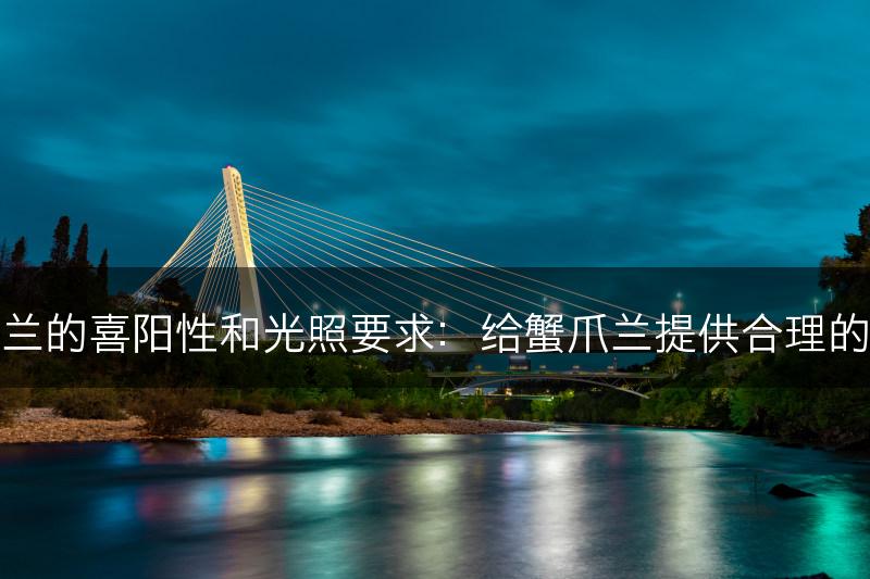 蟹爪兰的喜阳性和光照要求：给蟹爪兰提供合理的光照(图1)