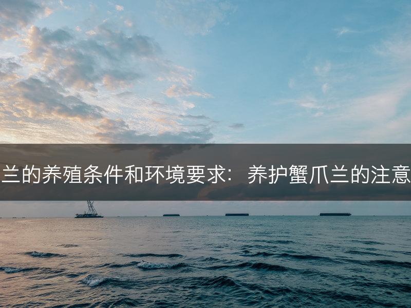 蟹爪兰的养殖条件和环境要求：养护蟹爪兰的注意事项(图1)
