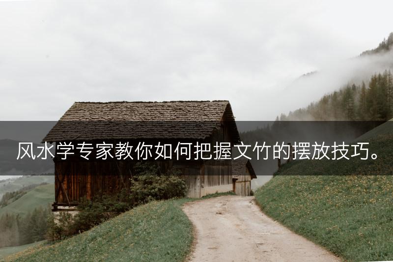风水学专家教你如何把握文竹的摆放技巧。(图1) 风水学专家教你如何把握文竹的摆放技巧。(图1)
