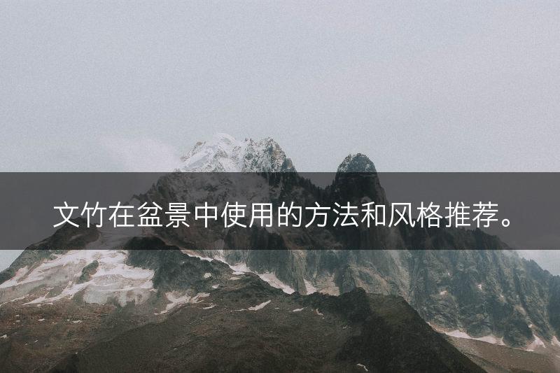 文竹在盆景中使用的方法和风格推荐。(图1) 文竹在盆景中使用的方法和风格推荐。(图1)