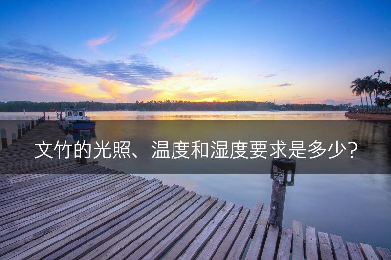 文竹的光照、温度和湿度要求是多少?(图1) 文竹的光照、温度和湿度要求是多少?(图1)