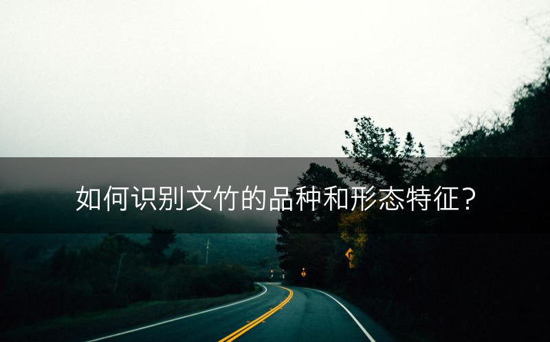 如何识别文竹的品种和形态特征?(图1) 如何识别文竹的品种和形态特征?(图1)