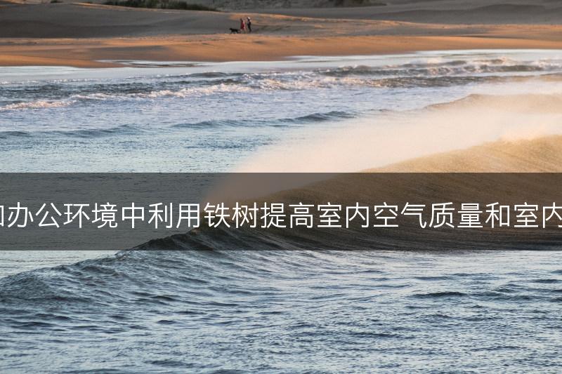 如何在家庭和办公环境中利用铁树提高室内空气质量和室内环境舒适度？